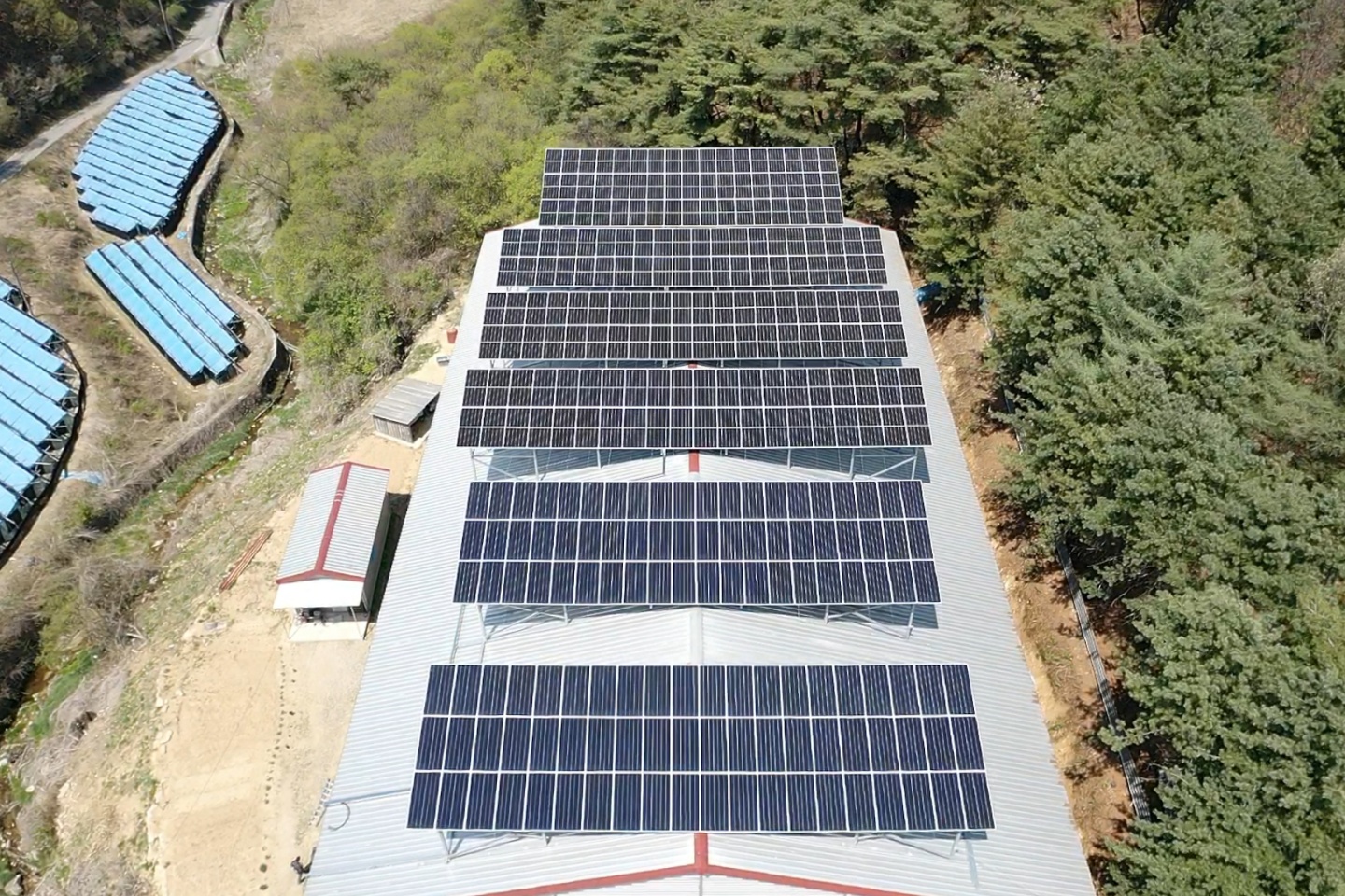 1794386480_fExKtizB_bee170476de82985de37c80fe37f8ac09fc25e31.jpg 이미지크게보기