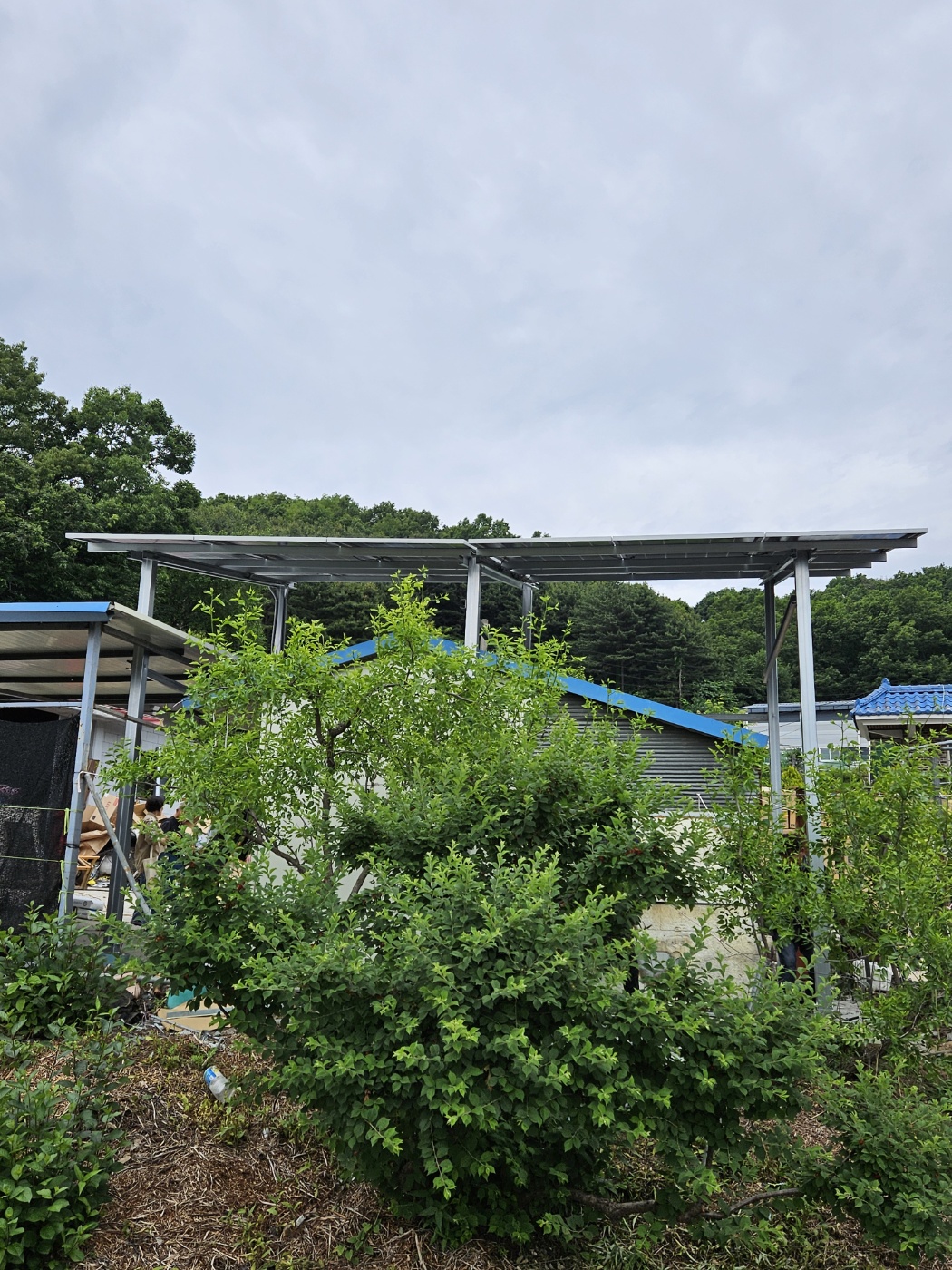 1794386480_ApUml9dt_37a9a8515193f884d84b794b8f2cb606b11ef18c.jpg 이미지크게보기