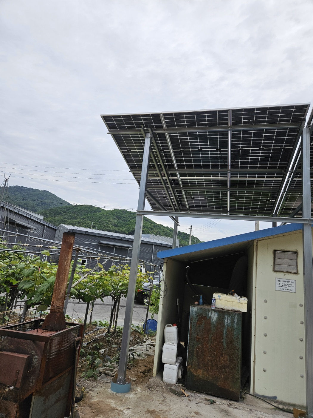 1794386480_mbIalpqN_ef9add8c3f4dba91215d633b1235f4614d611299.jpg 이미지크게보기