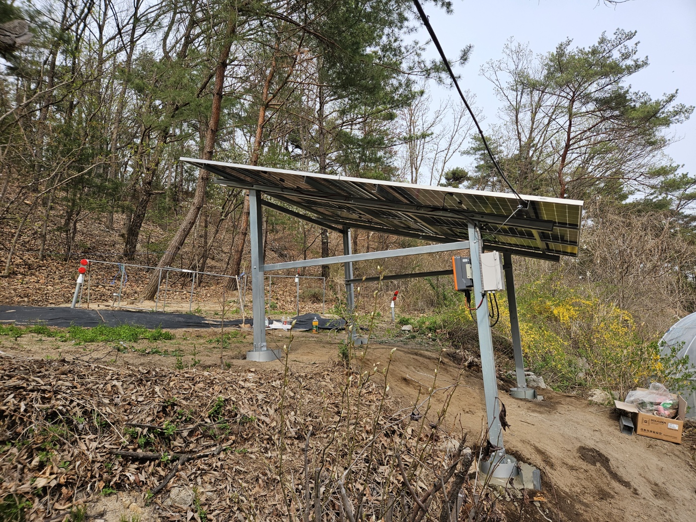 1794386480_BZcrD5Rq_eb412a0881976456126e805538feb01a186c024d.jpg 이미지크게보기