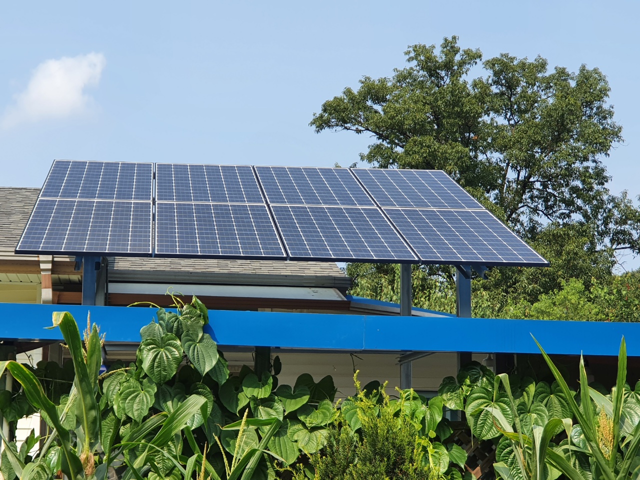 /user/s/shinenergy/editor/2110/73c4b382bd13e60ae9b2cd7f088a9f4a_1634106313_0794.jpg 이미지크게보기