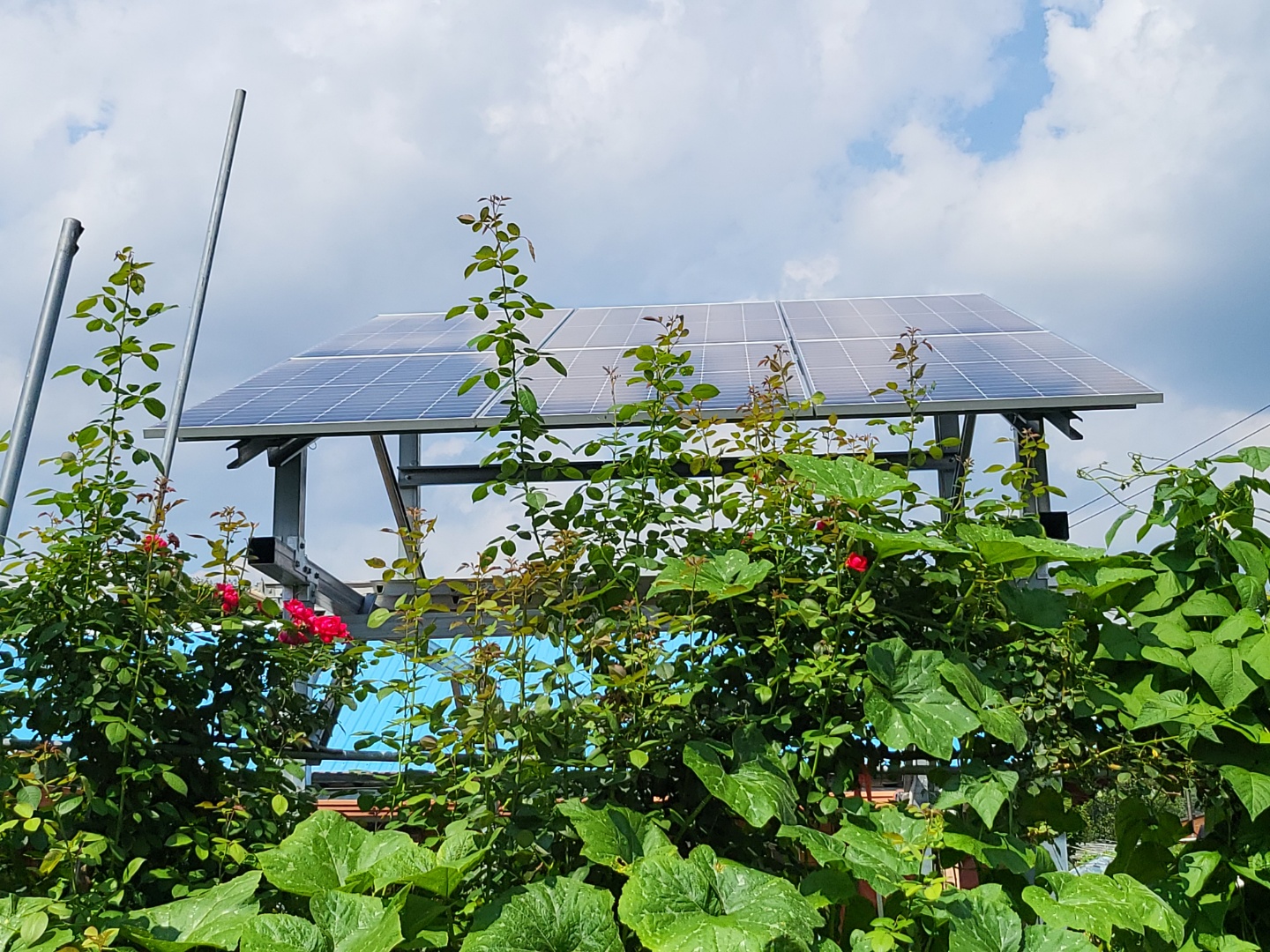 /user/s/shinenergy/editor/2302/0a2928fabd7d6d7c2af2e24baec146df_1675658349_6247.jpg 이미지크게보기