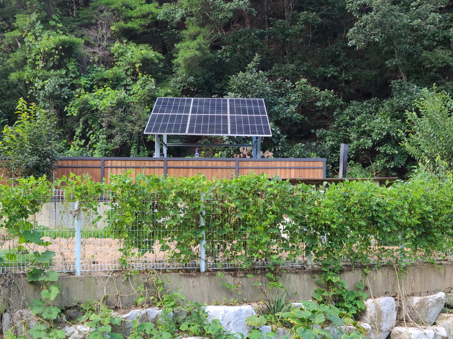 /user/s/shinenergy/editor/2302/0a2928fabd7d6d7c2af2e24baec146df_1675659868_1045.jpg 이미지크게보기