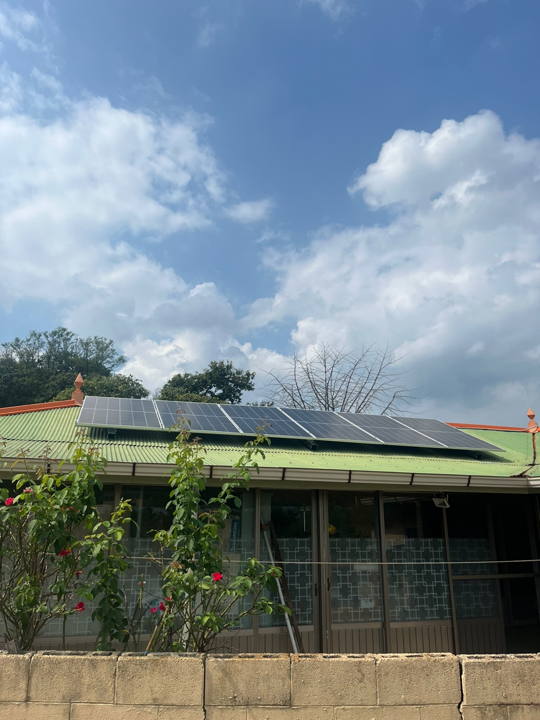 /user/s/shinenergy/editor/2411/5e34191b3895cab554b23349e8db4a91_1732680538_5681.jpg 이미지크게보기