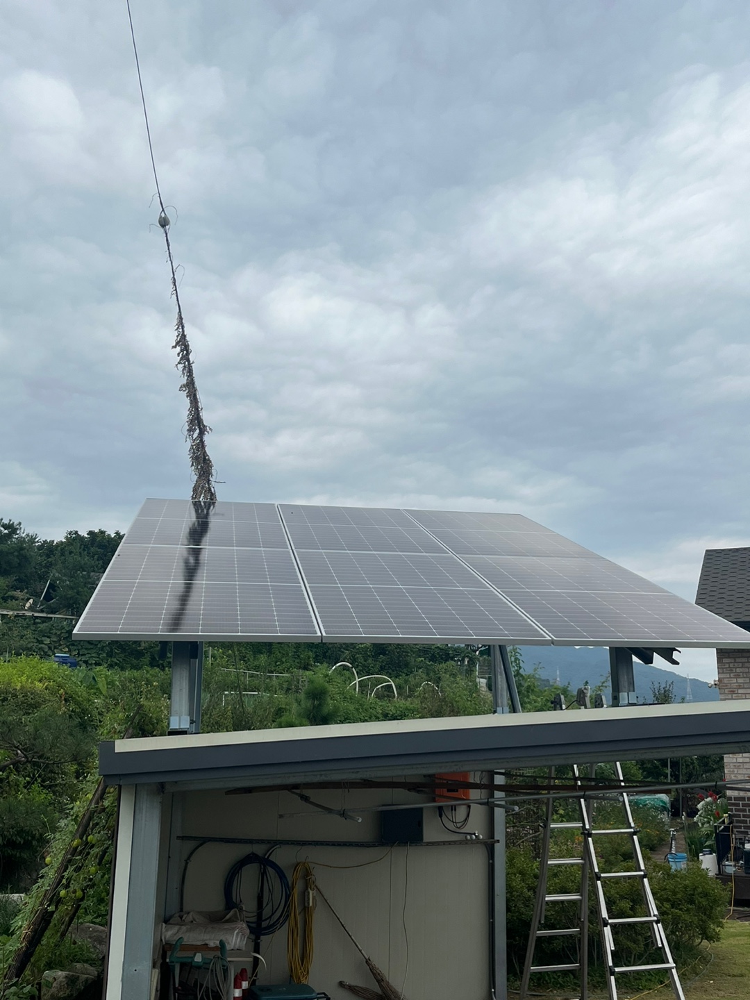 /user/s/shinenergy/editor/2411/5e34191b3895cab554b23349e8db4a91_1732689248_0781.jpg 이미지크게보기