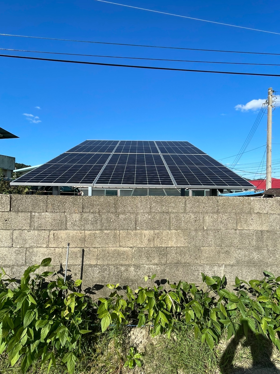 /user/s/shinenergy/editor/2411/5e34191b3895cab554b23349e8db4a91_1732689337_7339.jpg 이미지크게보기