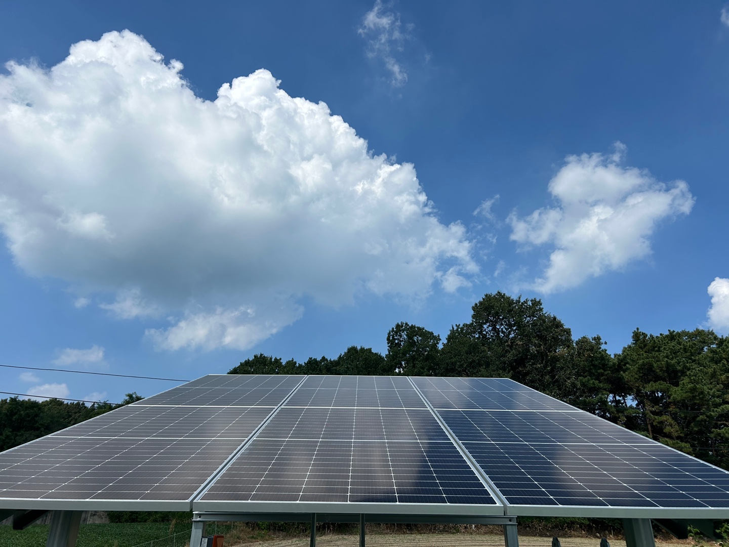 /user/s/shinenergy/editor/2411/5e34191b3895cab554b23349e8db4a91_1732689419_9099.jpg 이미지크게보기