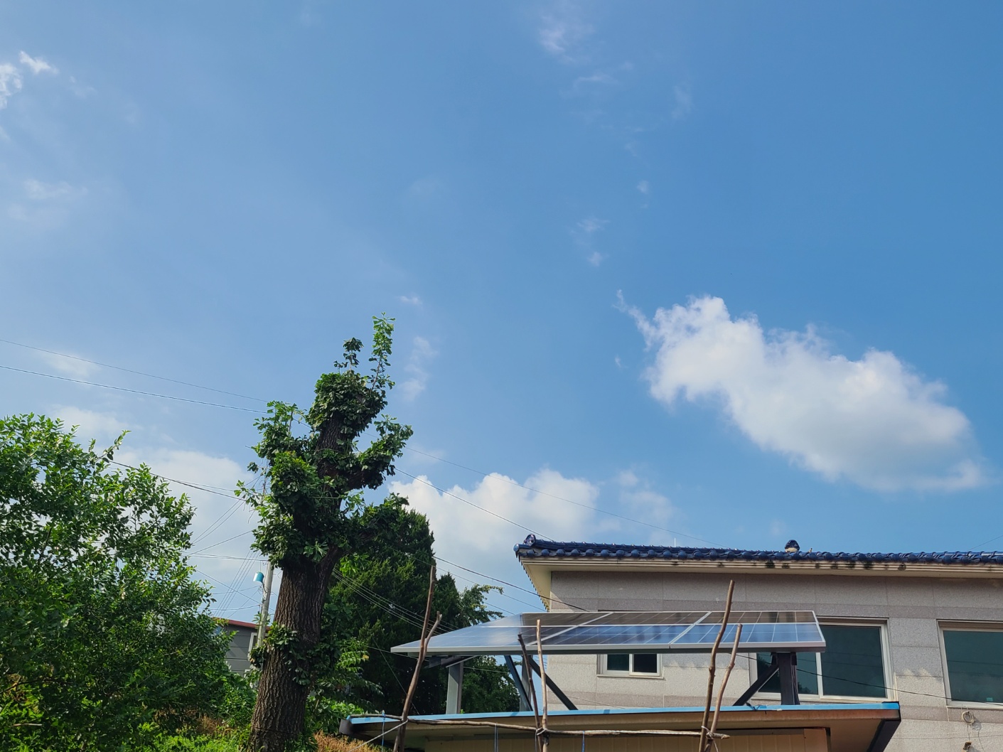 /user/s/shinenergy/editor/2411/5e34191b3895cab554b23349e8db4a91_1732690417_9883.jpg 이미지크게보기